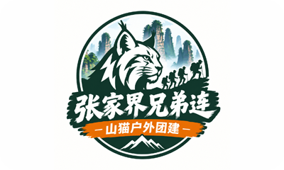 合作伙伴11